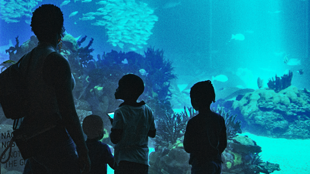 Image of Family at Aquarium
